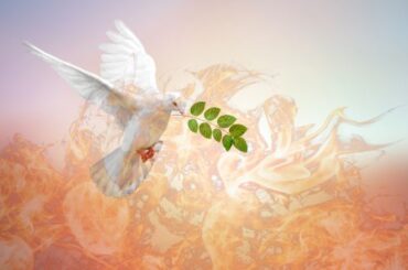 Spiritual Meaning of Burning Dove