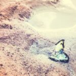 Spiritual Meaning of Seeing a Dead Butterfly