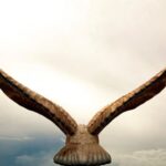 Spiritual Meanings of Seeing An Eagle