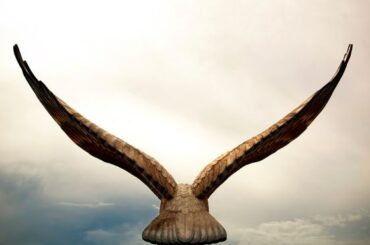 Spiritual Meanings of Seeing An Eagle