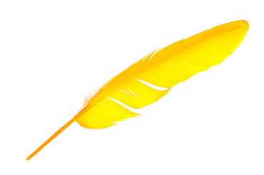 Spiritual Meaning of Yellow Feathers
