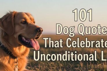 101 Dog Quotes That Celebrate Unconditional Love