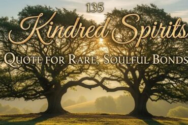 135 Kindred Spirits Quote for Rare, Soulful Bonds