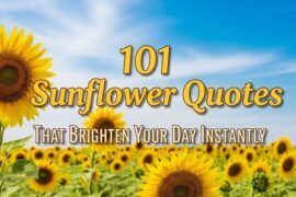 Sunflower Quotes That Brighten Your Day Instantly